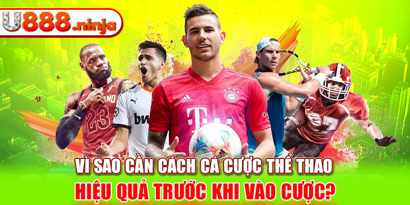 Vì sao cần cách cá cược thể thao hiệu quả trước khi vào cược?